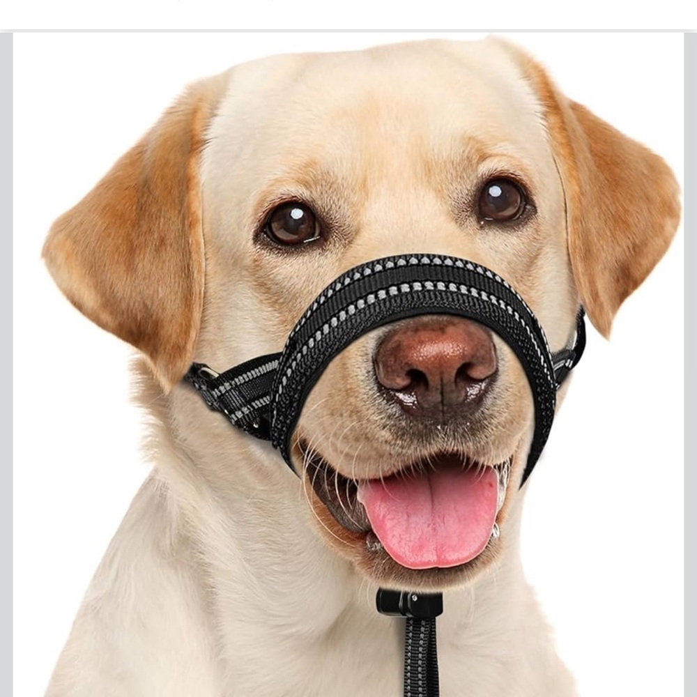 Brand New Adjustable No Pull Head Collar